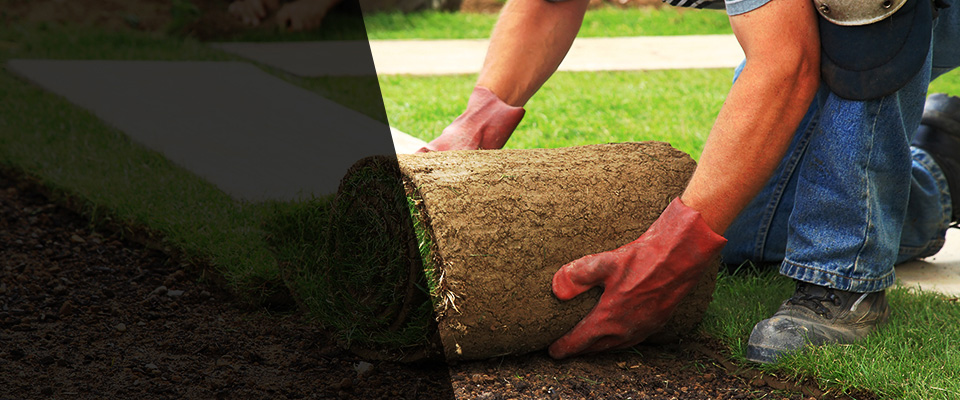 Elizabeth Landscapers